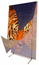 Flexx banner
