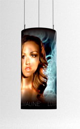 Flexx banner